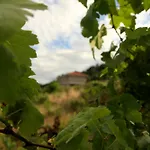 Hermosa Casa En Entorno Termal 펜션