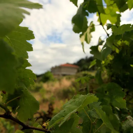Hermosa Casa En Entorno Termal Prázdninový dům